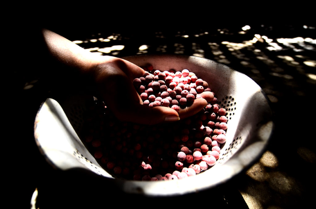 Kerajinan Balung Tutul4