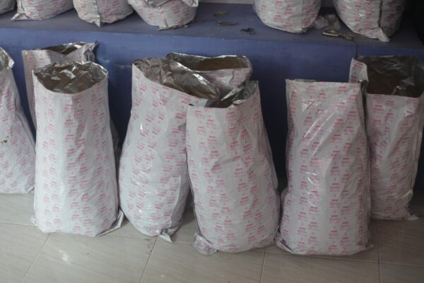 Keripik Nangka Dari Jember Untuk Eropa4